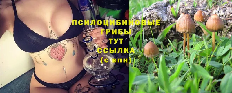 mega сайт  Бирюч  Галлюциногенные грибы Magic Shrooms 